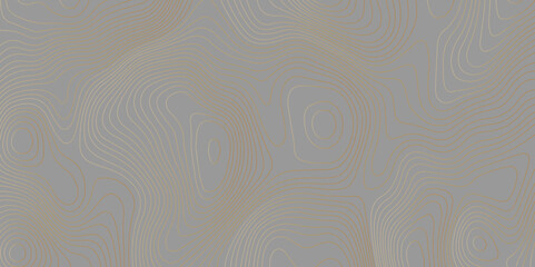 Abstract wave curved lines topographic contours map background. Abstract geographic golden wavy and curve grid lines map background.