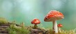Toadstool, fly agaric, Amanita muscaria on a green blurred forest background. Not edible, deadly poisonous mushrooms. Autumnal card for seasonal greetings. Scarlet or orange cap.. Generative Ai