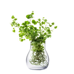 Wall Mural - Green Plant in Vase Isolated on Transparent Background for Home Décor Generative AI