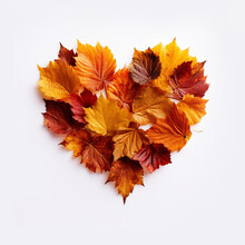Autumn Heart Free Stock Photo - Public Domain Pictures