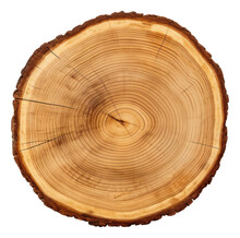 Smooth Cross Section Brown Tree Stump Slice With Age Rings Cut Fresh From The Forest With Wood Grain Isolated. Generative AI.