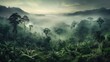 © Emiliia - Foggy rainforest: AI-generated panoramic aerial view