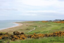 An Incredible View Of A Golf Hole In Scotland With The Ocean In The Background In Dornoch, In The Highlands Of Scotland During Spring With The Gorse Bush In Full Yellow Bloom