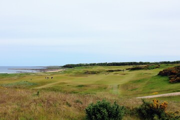 An incredible view of a classic links golf hole with pot bunkers in Scotland with the ocean in nearby outside of St. Andrews, Scotland