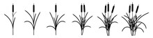 Set Of Reed Silhouettes