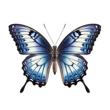 Red-spotted Purple Butterfly -  Limenitis Arthemis 3. Transparent PNG. Generative AI