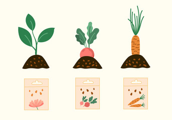 Wall Mural - Home vegetables gardening crops hobby illustrations set. Vector plants seedlings and seeds spring seasonal flat style collection Isolated