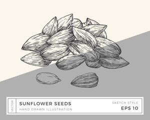 Wall Mural - hand drawn vector sunflower seeds illustration. vegan based food drawing with colorful background is