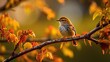 A reed warbler on a branch and looks into the camera, Generative AI