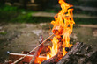 © Andrew Kornylak - A marshmallow on a stick surrounded by lively flames over a campfire