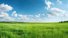 Beautiful Panoramic Natural Landscape Of Meadow With Grass And Blue Sky In Spring, Green Field, Generative Ai