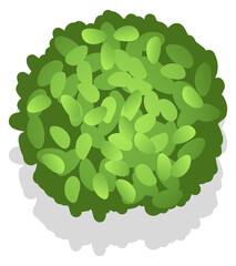 Sticker - Landscape nature element. Green bush top view