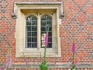 Wall Mural - cambridge, university, cambridge university, university town, university city, study, student, uk,  college, colleges, 