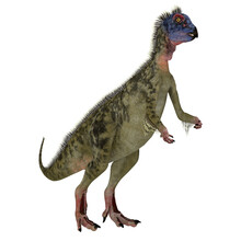 Hypsilophodon Feathered Dinosaur - Hypsilophodon Was A Omnivorous Ornithopod Dinosaur That Lived In England During The Cretaceous Period.