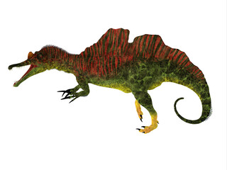 Poster - Ichthyovenator Cretaceous Dinosaur - Ichthyovenator was a theropod Spinosaurus dinosaur that lived in Laos, Asia in the Cretaceous Period.