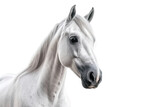 Fototapeta  - Head portrait illustration of a white horse on white background