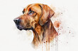 Illustration of the Rhodesian Ridgeback. African lion dog hound. Generative AI.