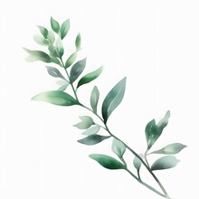 Create Watercolor Branch I, In The Style Of Light Silver And Light Green, Animated Gifs, Naturalist Aesthetic, Basil Gogos, Flora Borsi, Sparse And Simple, Soft-edged