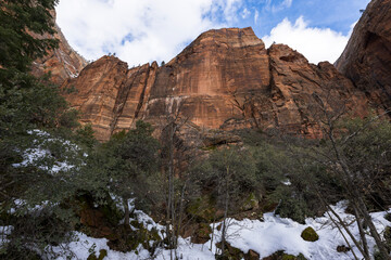 Wall Mural - Landscape photograph taken in Zion National Park in Utah.