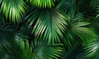 canvas print picture - Palm leaves background 