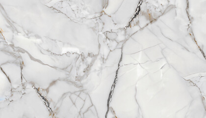 Wall Mural - Carrara White premium marble texture extra white stone background