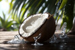 © wolfhound911 - Photo closeup coconut with water drops. Generative AI