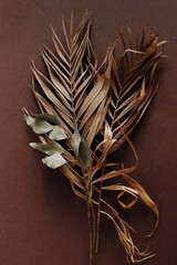 Wall Mural - Dry palm leaves and eucalyptus leaves bouquet close up on brown    background. Fine art Poster. Neutral colors. Vintage dark flowers