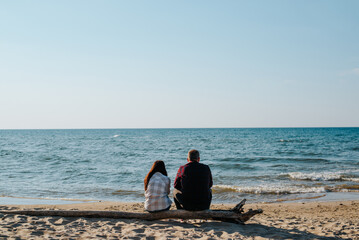 Rear view of an adult couple man and woman sitting on a log on the beach and looking at the sea on a sunny day