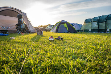 tents at camping site in england uk