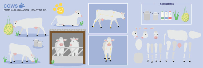 white cow ready to animate with multiple poses accessories. Vector file labeled ready to rig. milking cow, cow walking, Cow sitting, Cow shed, farm animals 