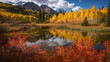 Colorado Autumn Color at Lost Lake on Kebler Pass. Generative Ai