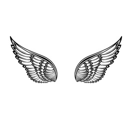 Wall Mural - Vector angel wings tattoo design