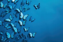 Blue Butterflies On Blue Background