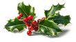Christmask holly berry ornament on white background. Generative Ai