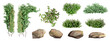 Set of creeper, plant, shrubs, isolated on transparent background