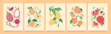 Trendy Hand Drawn Tropical Fruit Posters, Contemporary Print With Lemon And Pomegranate. Minimalist Aesthetic Book Cover Template With Fruits, Leaves And Flowers, Orange And Peach Vector Poster Set