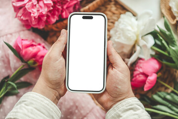 mobile phone and spring flower pink peonies on the pink background. theme of love, mother's day, wom