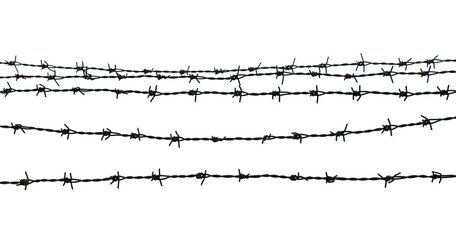 Barbed wire on transparent png