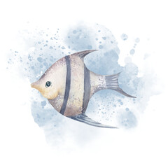 Angelfish with watercolor Splash. Hand drawn illustration of angel Fish on isolated transparent background. Sketch of underwater fauna in blue colors. Tropical exotic undersea animal for icon or logo.