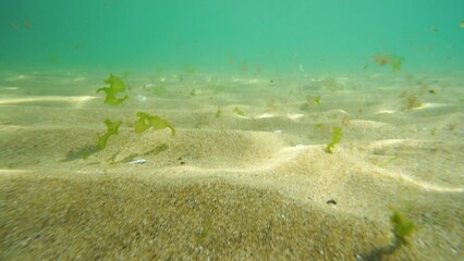 Poster - Sea waves and underwater view with sunrays shining through the water and ocean seabed