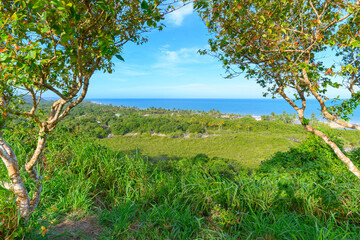 Wall Mural - The beautiful nature landscape of Trancoso, district of Porto Seguro - BA. View to Nativos Beach, Bahia state, Brazil. 