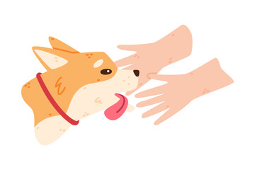 Sticker - Akita Inu Dog and Domestic Animal or Pet and Reaching Human Hands Vector Illustration