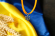 Ribbon with Ukrainian coat of arms against flag, closeup