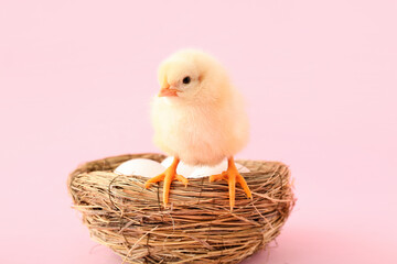 Wall Mural - Nest with eggs and cute little chick on pink background
