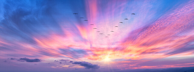 Wall Mural - Sunset Inspirational Birds Hope Surreal Nature Banner