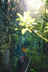 Wall Mural - Tourist woman walking along overgrown jungle hiking trail  next to canal through Madeiran rainforest. Levada of Caldeirão Verde, Madeira Island, Portugal, Europe.