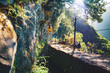 © Michael - Tourist woman walking below big rock wall along water canal through Madeiran rainforest. Levada of Caldeirão Verde, Madeira Island, Portugal, Europe.