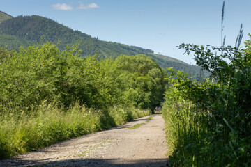 Wall Mural - Pathway in beautiful natual surroundings.High quality photo