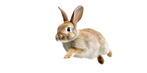 Sticker - an adorable cottontail bunny rabbit in a spring-themed illustration, isolated, running, jumping, and bouncing, a spring-themed illustration on a transparent background in PNG format. Generative AI 