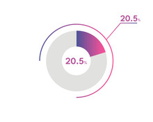 20.5 Percentage Circle Diagrams Infographics Vector, Circle Diagram Business Illustration, Designing The 20.5% Segment In The Pie Chart.